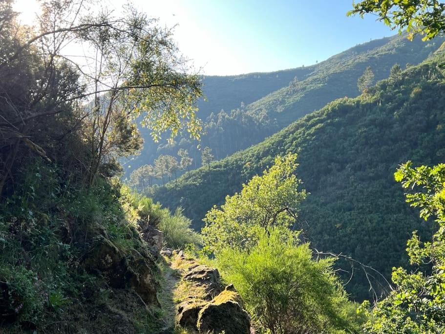 Casinha Do Sol - Natureza & Lazer - Serra Da Freita 阿鲁卡 外观 照片