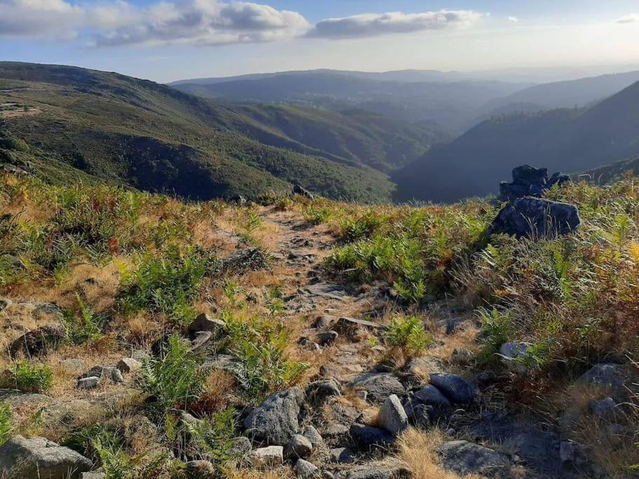 Casinha Do Sol - Natureza & Lazer - Serra Da Freita 阿鲁卡 外观 照片