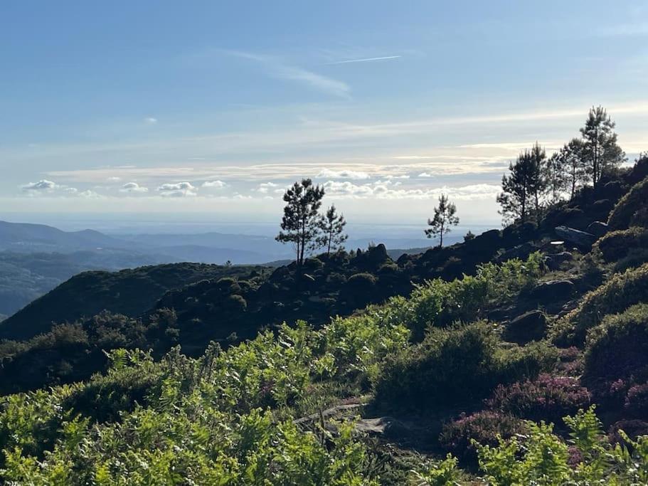 Casinha Do Sol - Natureza & Lazer - Serra Da Freita 阿鲁卡 外观 照片